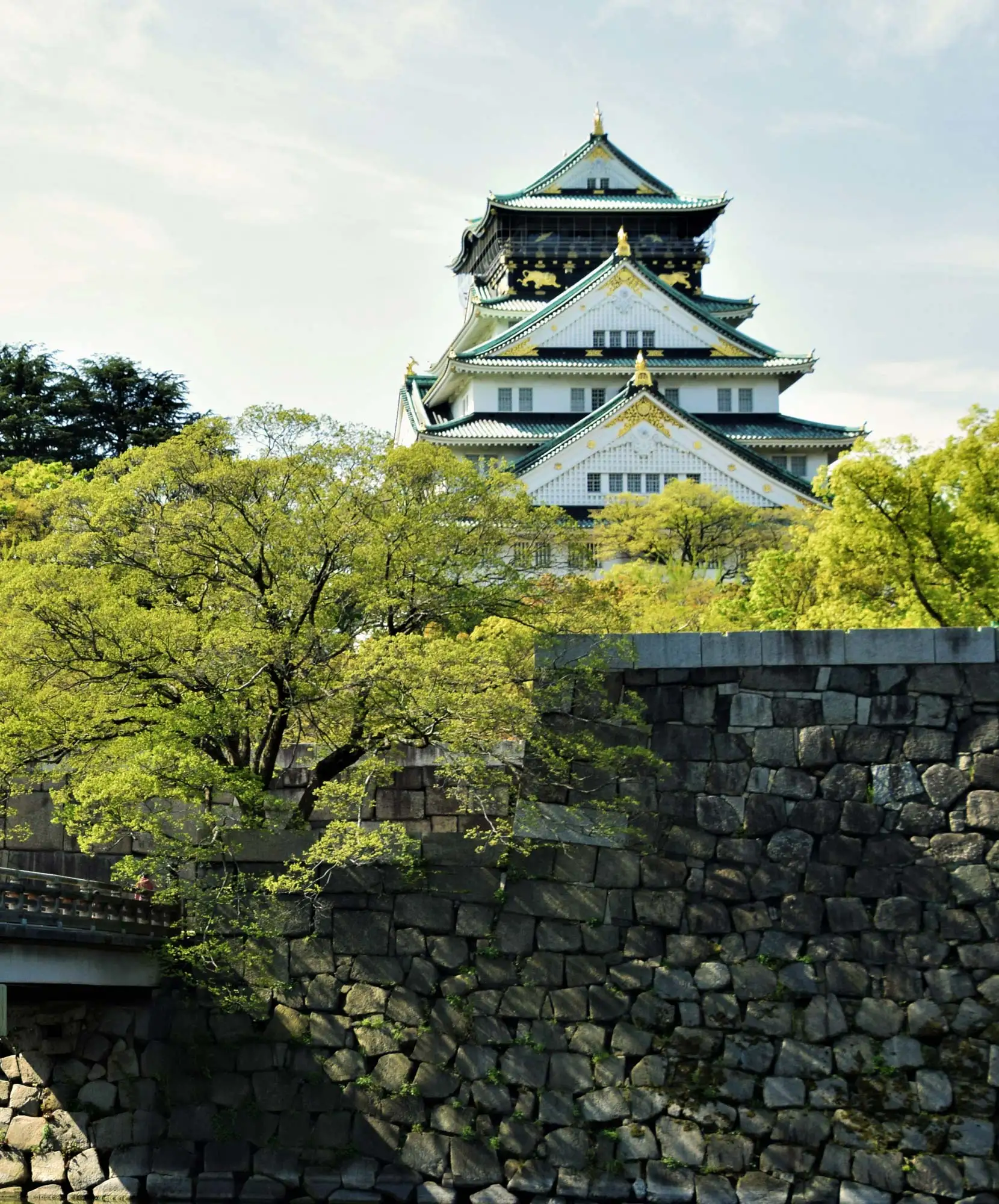 4-Módulo-Itinerario-VA-1660x2000px-JAPON.webp - Pangea Viajes