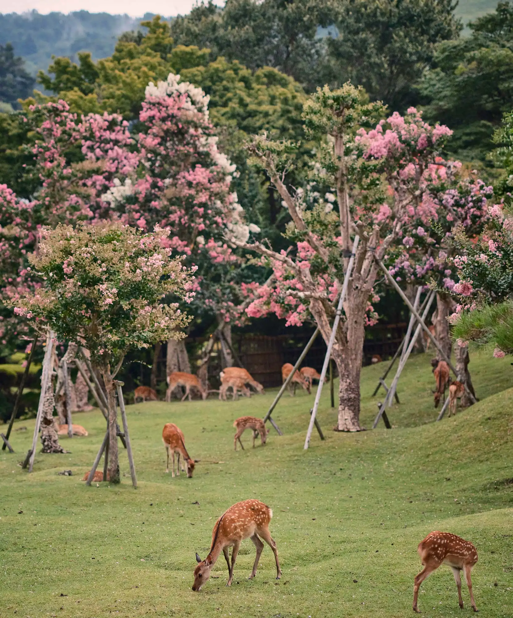 4-Módulo-Itinerario-VA-1660x2000px-NARA.webp - Pangea Viajes