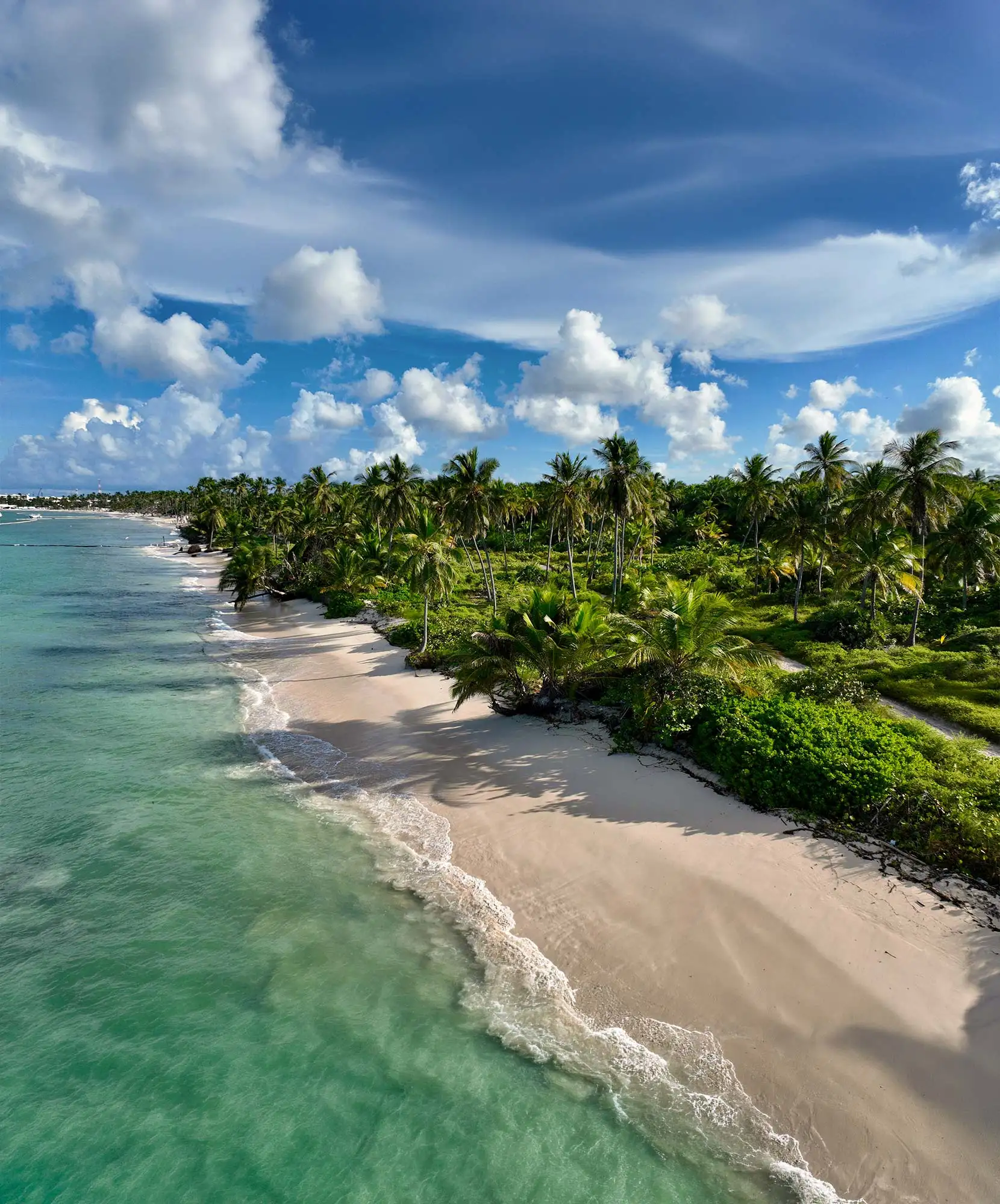 4-Módulo-Itinerario-VA-1660x2000px-PUNTA-CANA.webp - Pangea Viajes