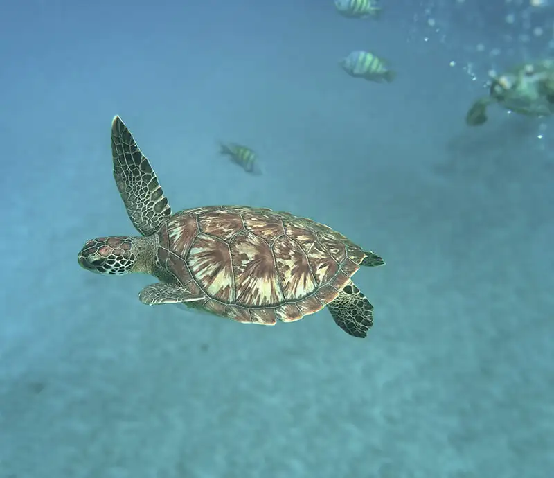 cuando-viajar-cabo-verde-primavera.jpg - Pangea Viajes