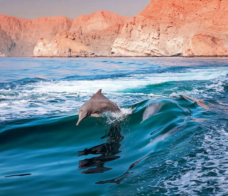 cuando-viajar-oman-primavera.jpg - Pangea Viajes