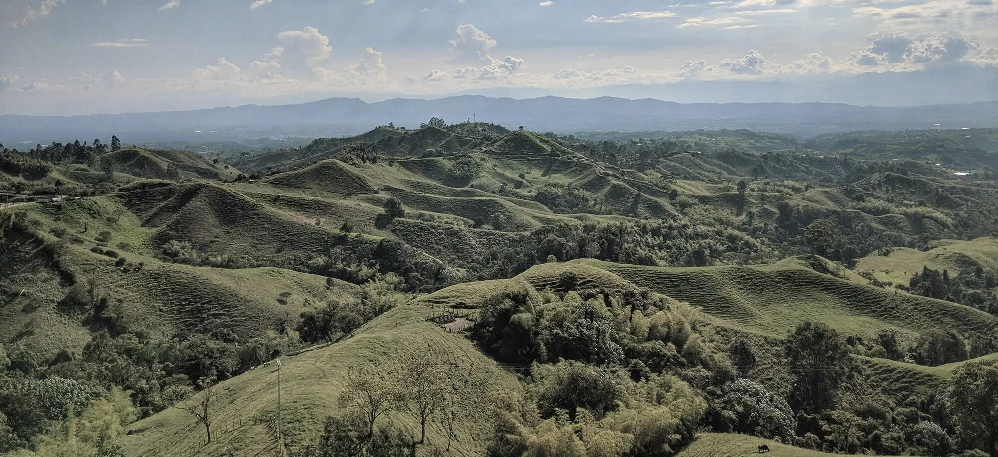 Viajes al Triángulo del Café
