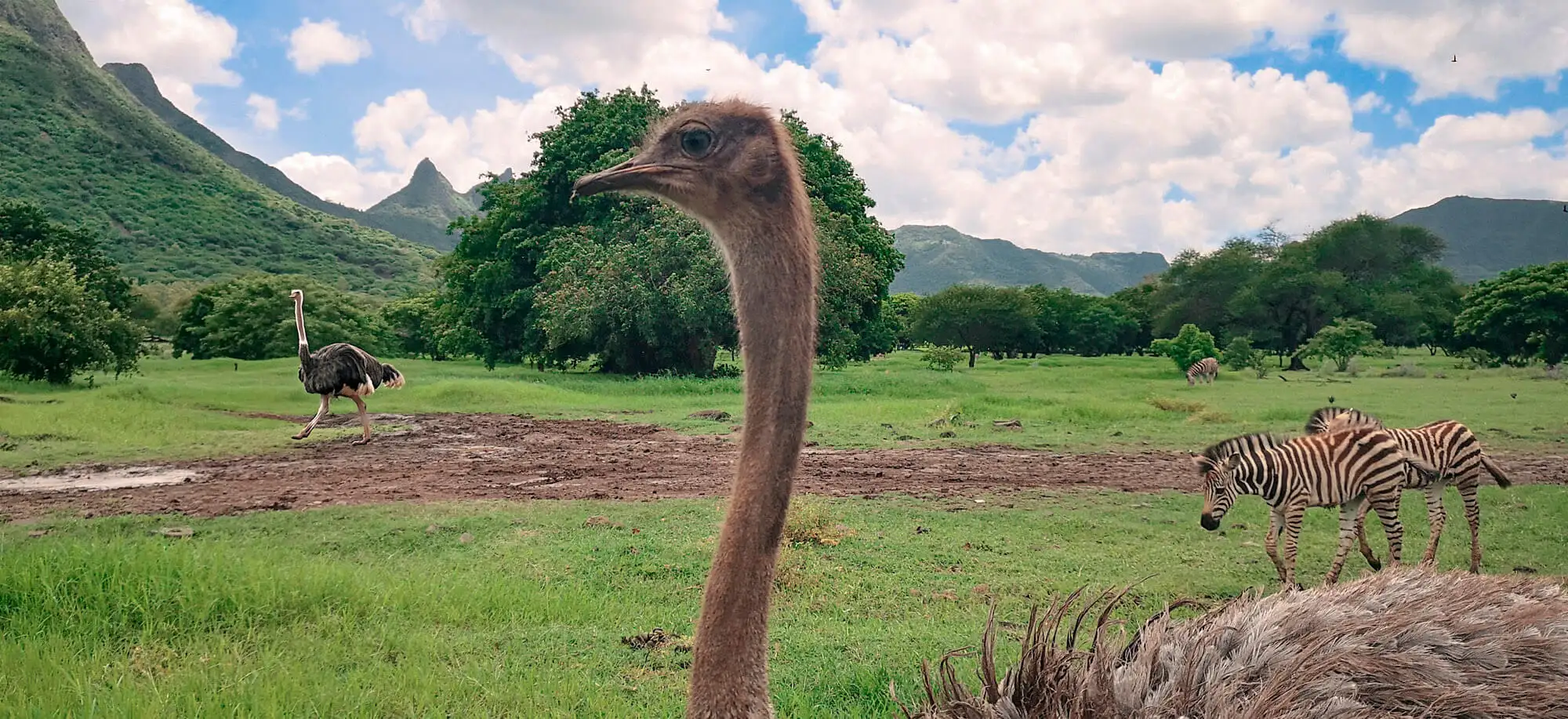 Viajes al Parque de Aventuras de Casela