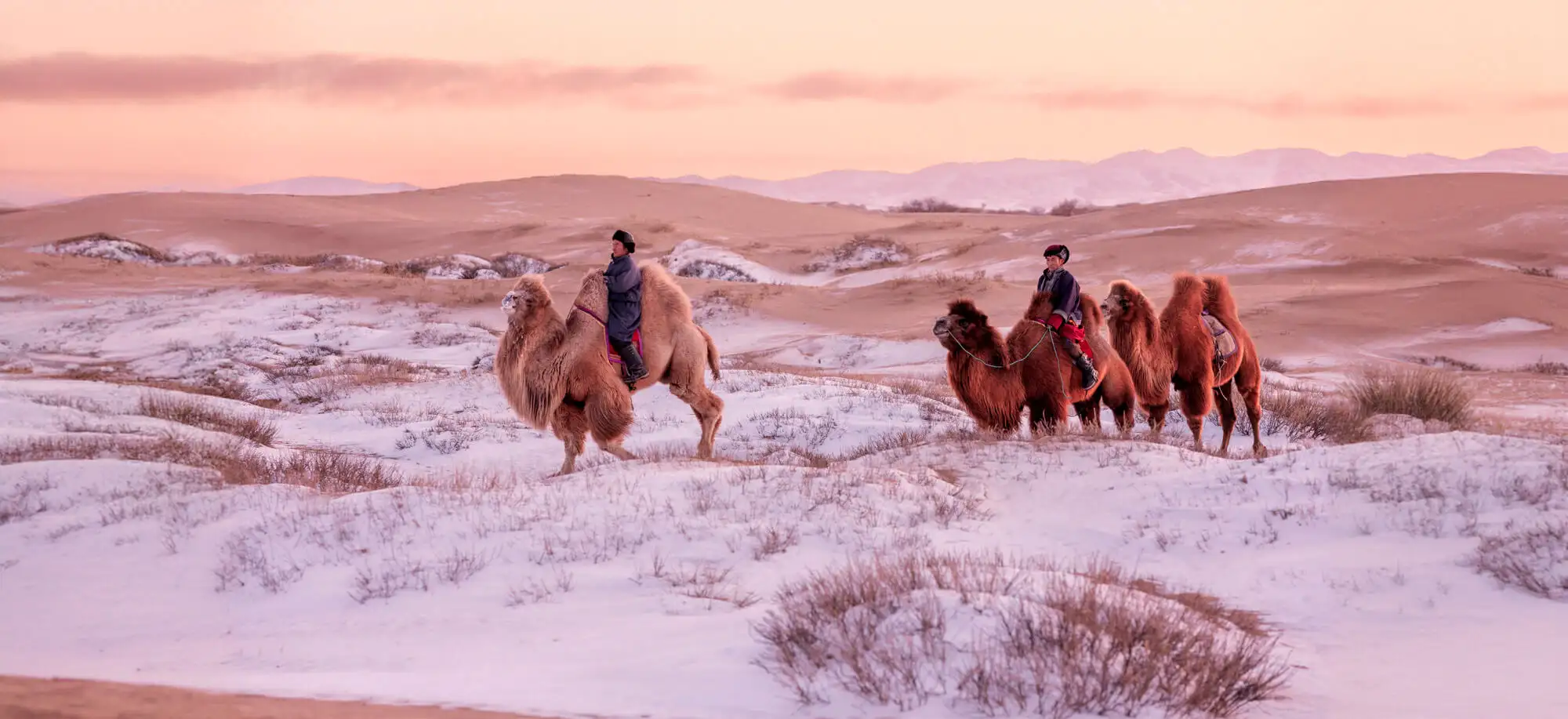 Viajes al Desierto de Gobi