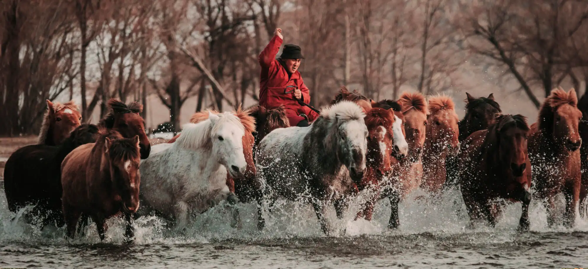 Viajes al Parque Nacional Gorkhi Terelj