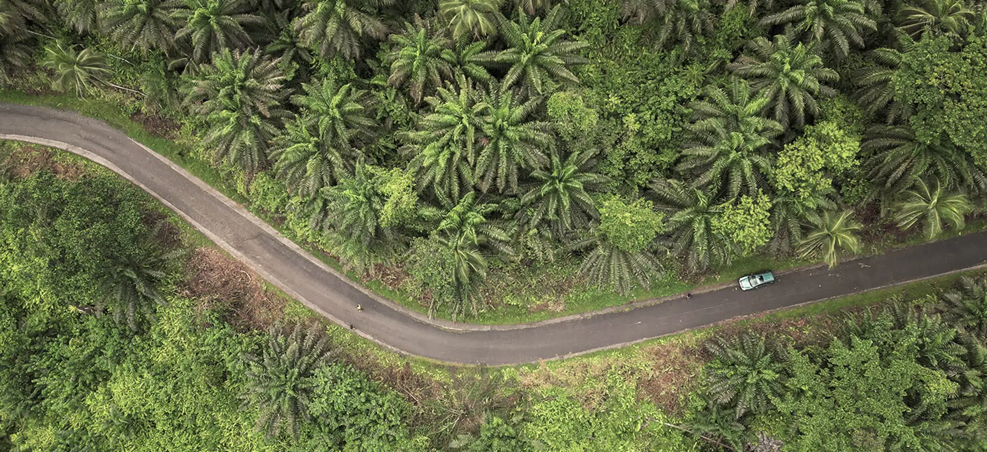 Viajes al Parque Nacional de Obo