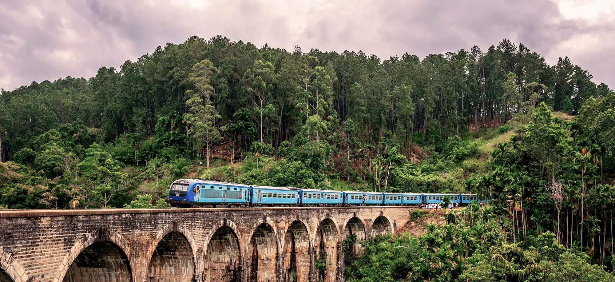 El mejor té del mundo en Nuwara Eliya