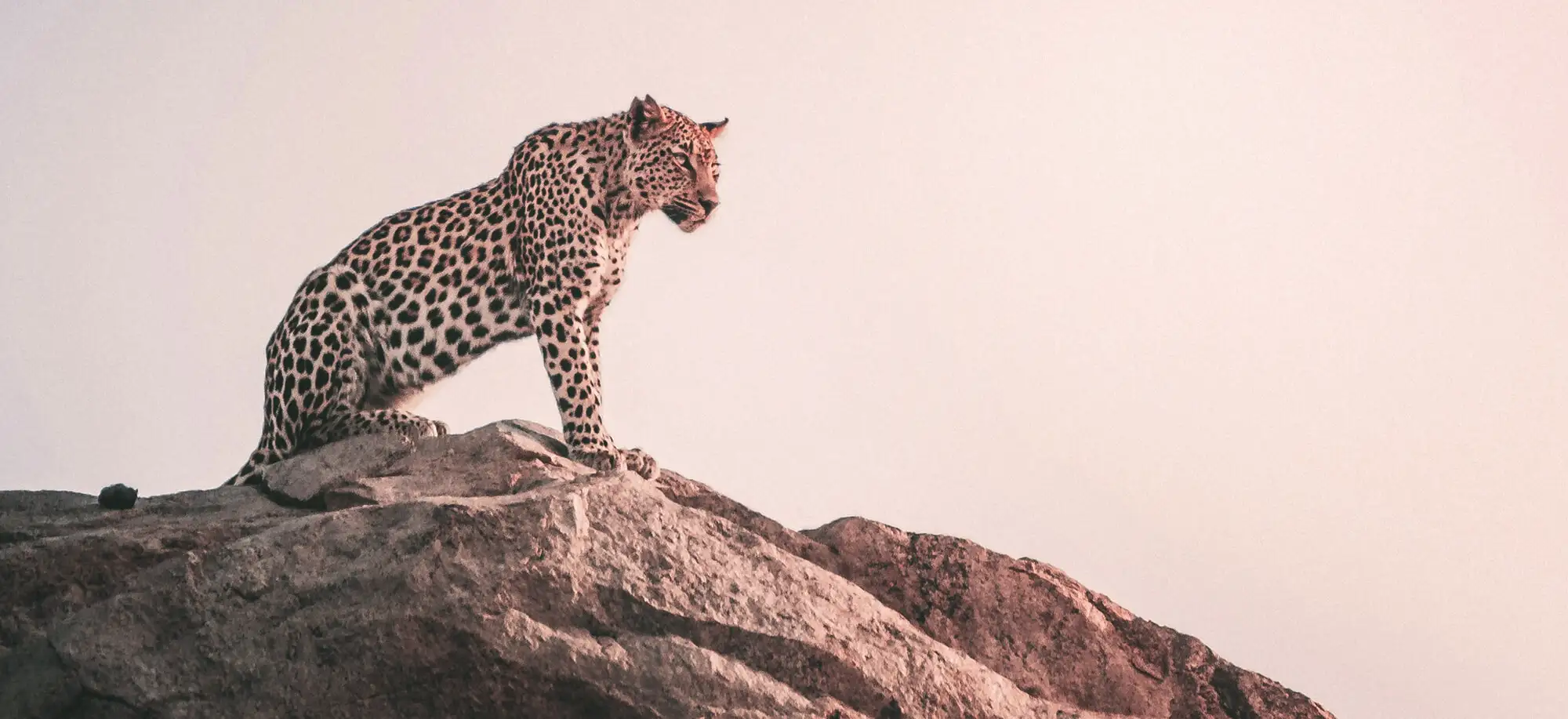 Viajes al Parque Kruger