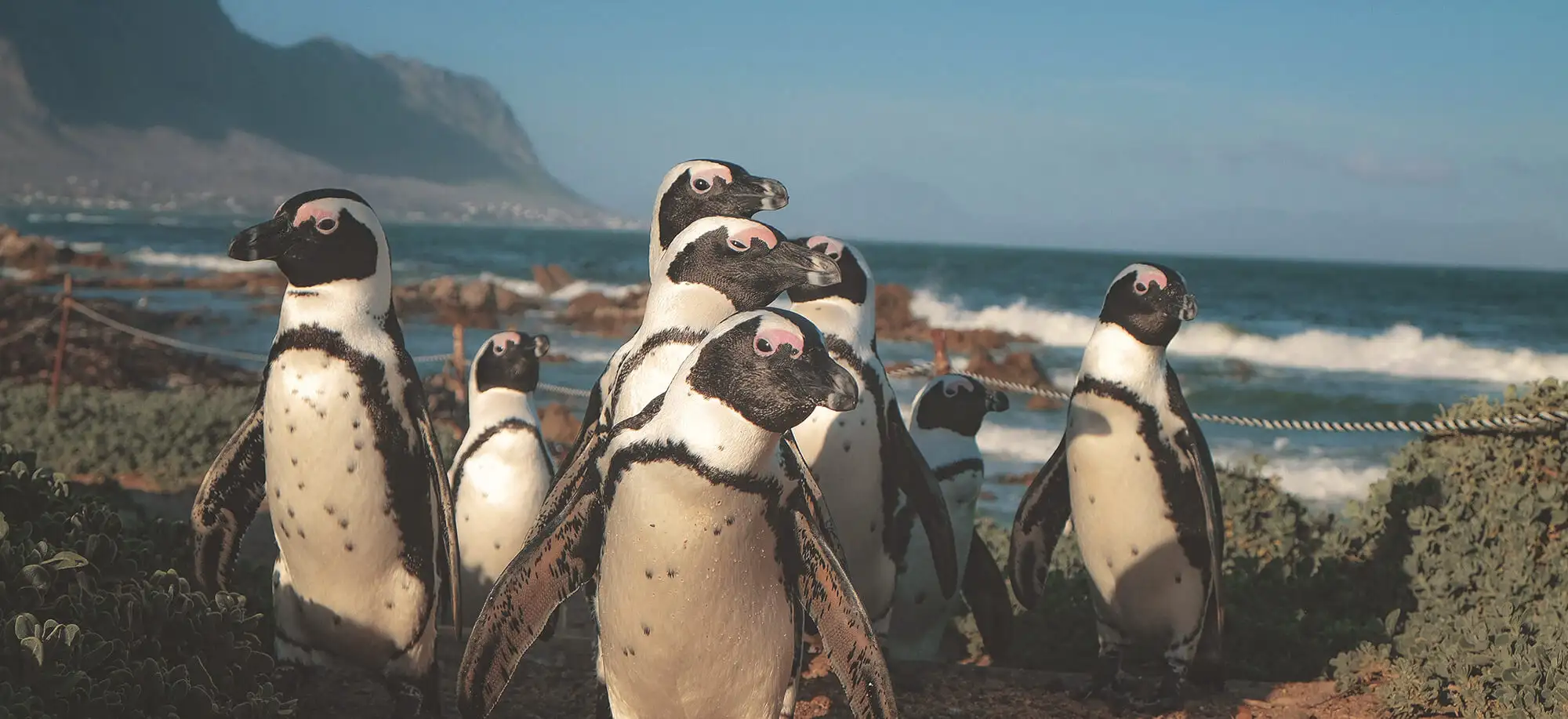 Viajes a la Ruta Jardín