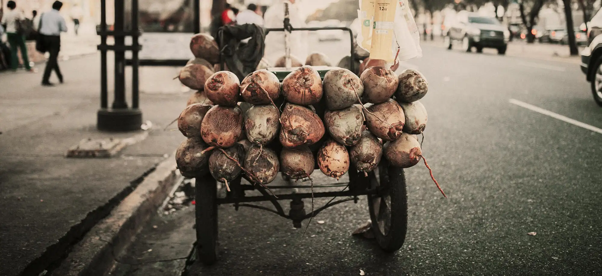 Viajes a República Dominicana